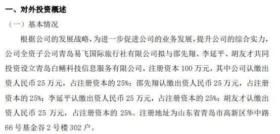 易飞国际全资子公司拟投资25万设立青岛白鳝科技信息服务有限公司持股