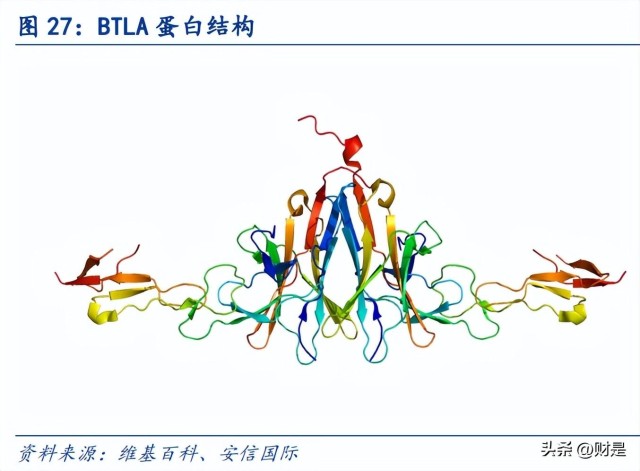 君实生物研究报告商业化能力不断加强新冠产品开发第一梯队