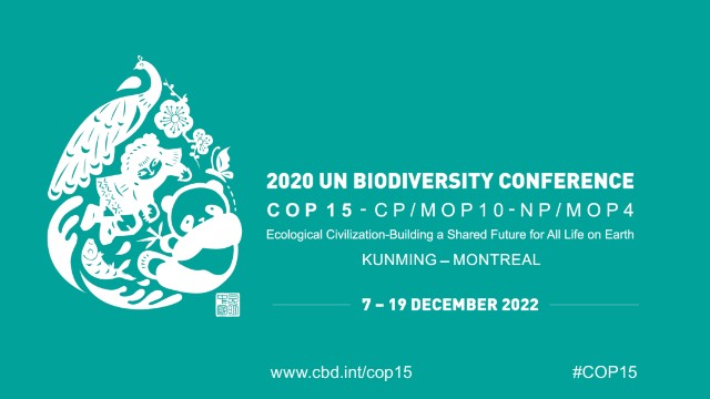 cop15来了用科技保护生物多样性我们这样做