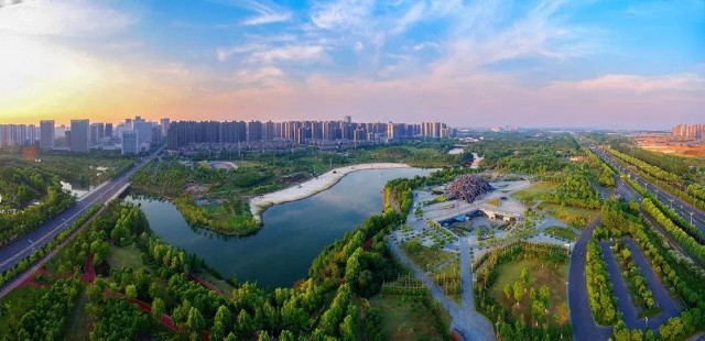 合肥滨湖新区将新增一所小学规划建设地址位于这里