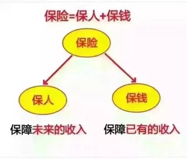 2021最新版"人生草帽图",100个人看了,95个人都会心疼自己!