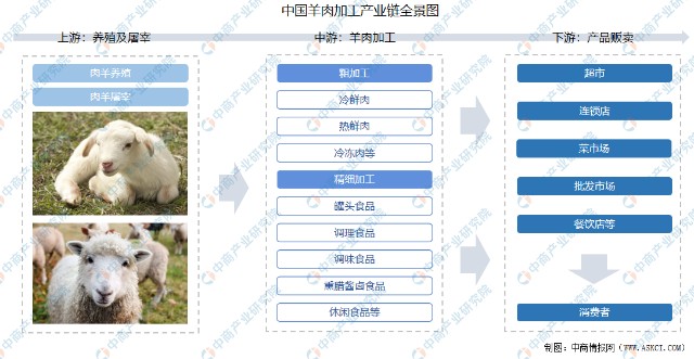 2021年中国羊肉加工产业链上中下游市场剖析