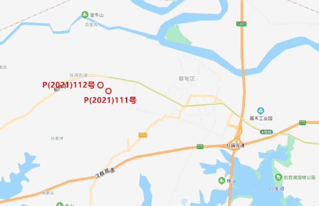 p(2021)112号地块位于蔡甸区张湾街蔡甸大街与规划十路(暂定名)交汇