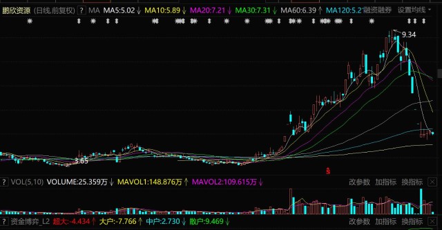 鹏欣资源(600490)收证监会告知书,上半年收入同比上涨