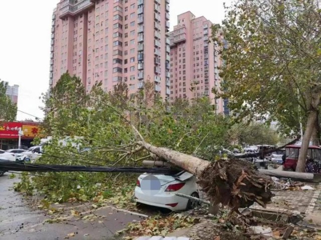 心痛平顶山突遭10级以上大风袭击街头无数私家车被砸烂