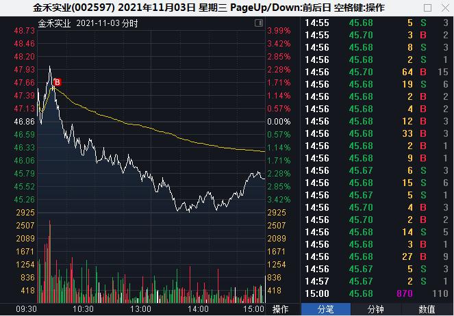 金禾实业 45.66 -0.50(-1.08%) _ 股票行情 _ 东方