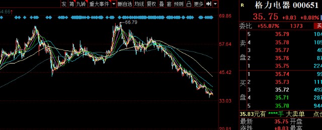 需求,也就是说资金不用于格力,董小姐这边,有银隆新能源这个窟窿要补