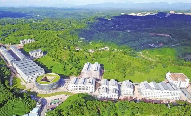 为了推进总投资高达38亿的明珠养生山城项目,张老板本意是想把这个