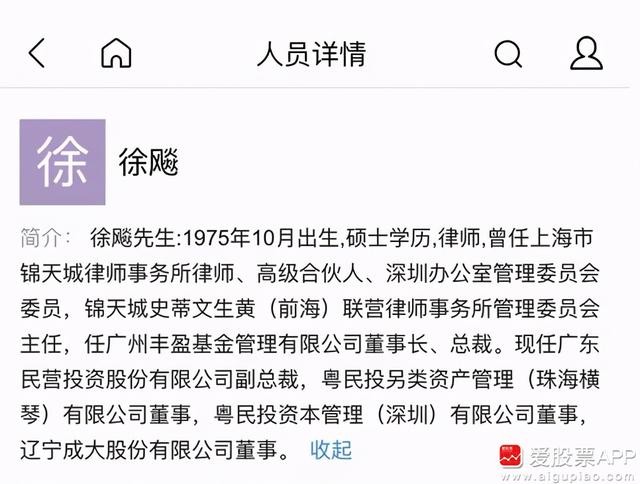 言叔通过公开资料获悉,徐彪之前的工作履历与粤民投有着千丝万缕的