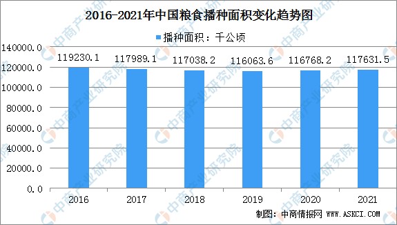 玉米为第一大口粮2021年中国粮食作物种植情况分析