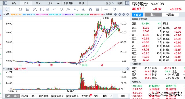 2021年涨幅最大的十只股票上涨的原因是什么