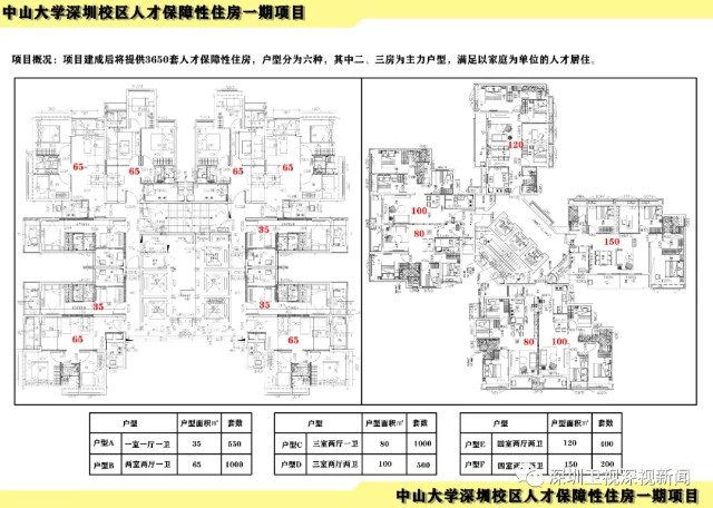 中山大学深圳校区人才保障房一期封顶