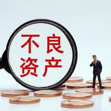 先锋x军团在不良资产处置管理业内的综合型行业分析