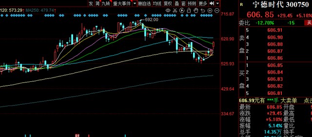 宁德时代比亚迪大涨5创业板指放量上涨163发生了什么