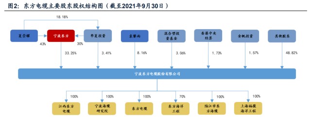 海上电缆行业龙头东方电缆研究报告