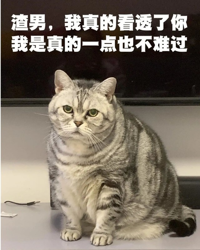 为什么每次大跌我都劝你要稳住