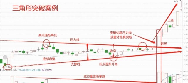 花仙精靈王豆丁形態圖片_形態分析精要 青木pdf_形態分析精要pdf