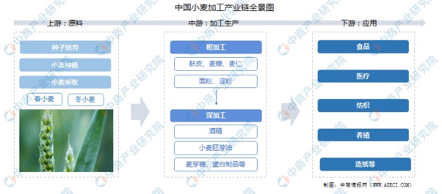 2022年中国小麦加工行业产业链上中下游市场分析