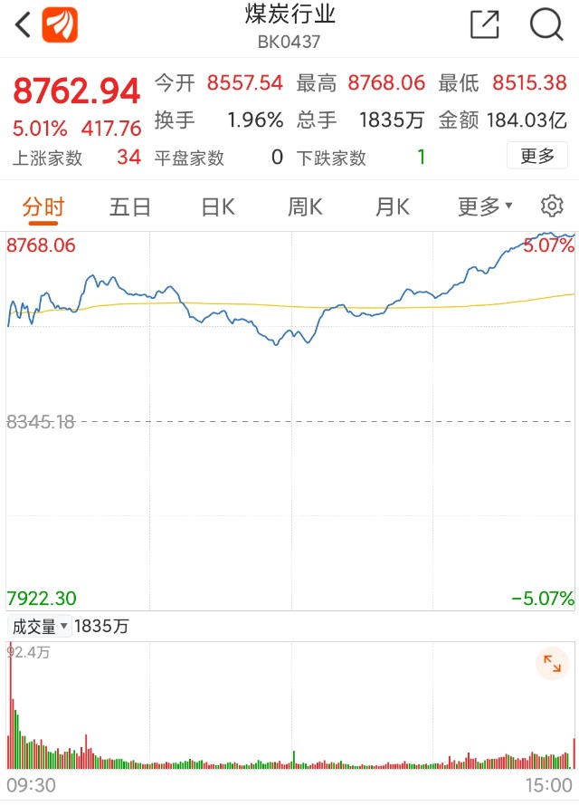 煤炭板块领涨板块表现活跃