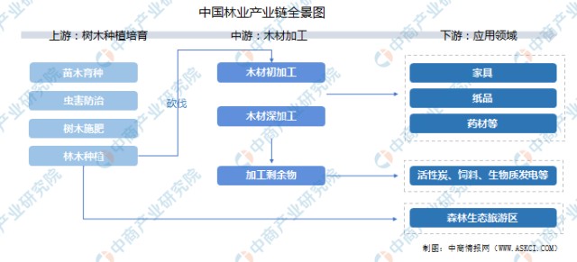 在政策扶持和市场规模化影响下,我国林业产业链条中的造林业,木材加工