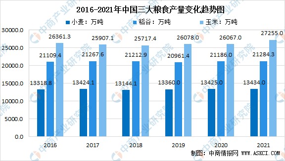 中国人的饭碗要端在自己手中2021年中国粮食运行情况分析