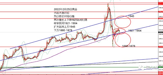 何小冰黄金大涨大跌过后重新蓄势0225