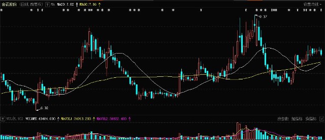 金花股份600080索赔条件及要点参考