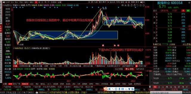 315次日必涨股敦煌种业