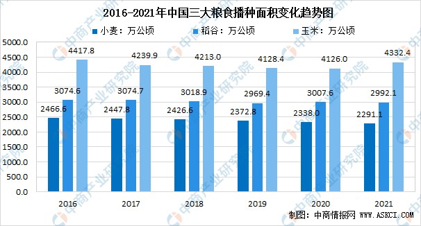 2022年中国粮食行业市场前景及投资研究预测报告