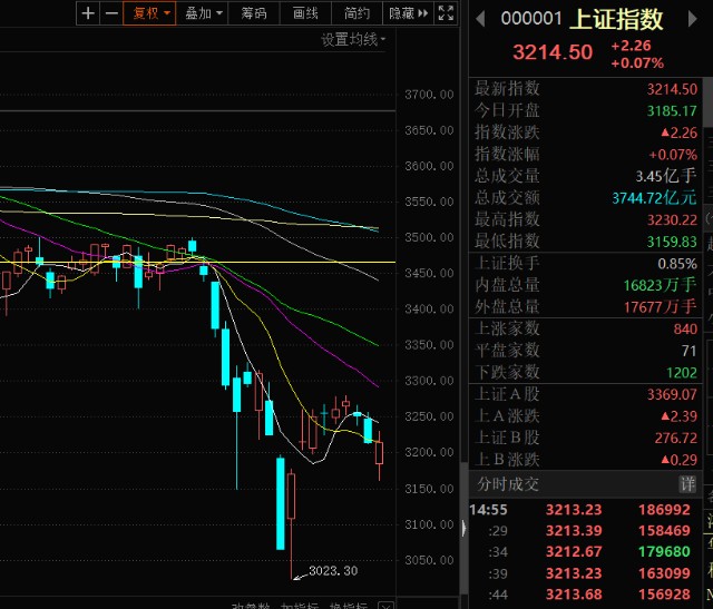 钾肥个股继续涨停