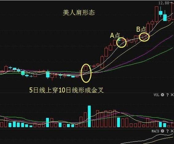 强势的建仓表现美人肩形态一定要拿稳