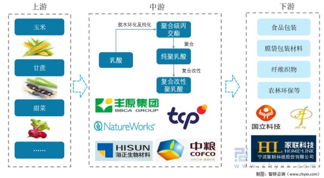 2021年中国聚乳酸pla产业链分析限塑令下聚乳酸产业未来可期图