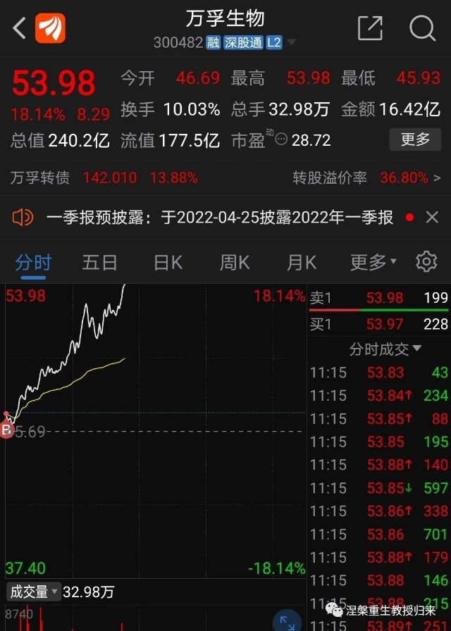 满仓涨停