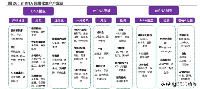 医药mrna产业链深度报告mrna迎来历史机遇国产力量加速崛起