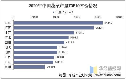 2020年中国蔬菜产量top10省份情况