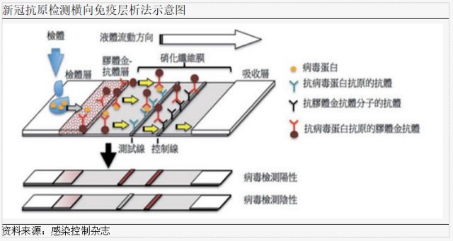 新冠抗原检测及特效药行业分析