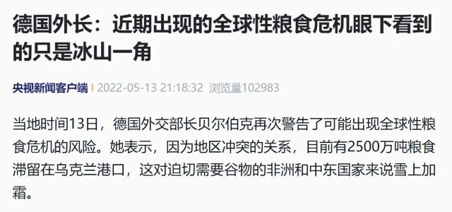 突然宣布禁止出口小麦已涨60俄罗斯下调23国出手全球粮食危机逼近谁是