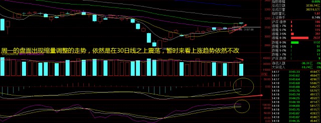 猴痘概念受到资金追捧指数高位横盘震荡还有哪些机会