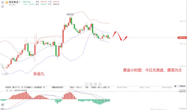 张金九620今日黄金走势分析周一美盘休市今日高抛低吸