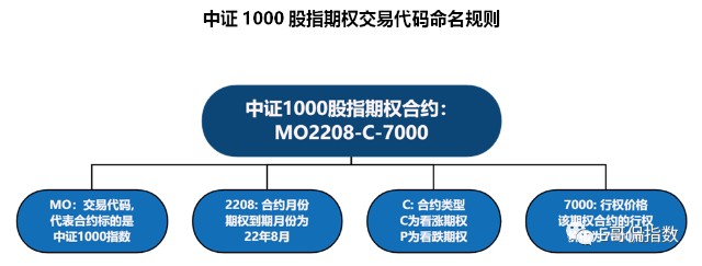 那些藏在中证1000股指期权里的秘密上