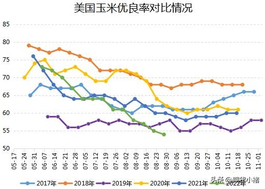 玉米减产预期增强现货涨价外盘带动盘面上涨未来苞米还能涨