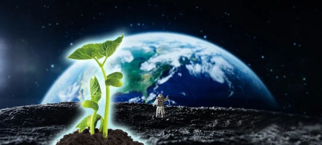 神十四乘组中秋加菜太空种植技术或将拯救全球数亿人