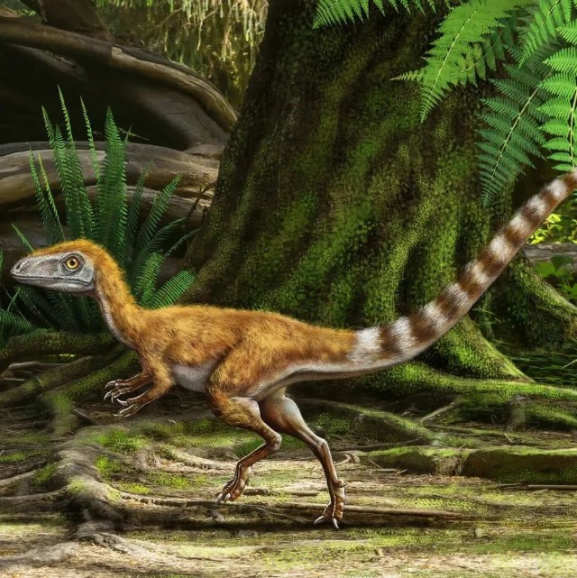 秒空中华龙鸟化石复原影像数字藏品全球公益首发