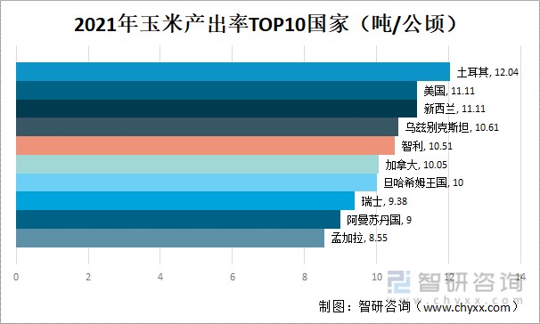 2021年玉米产出率TOP10国家