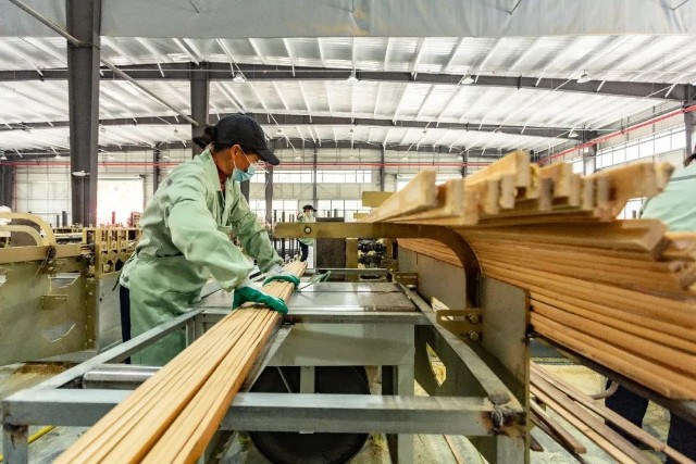 双枪科技开启竹材事业新篇章,竹炭品类领衔新品稳步拓展第二增长曲线