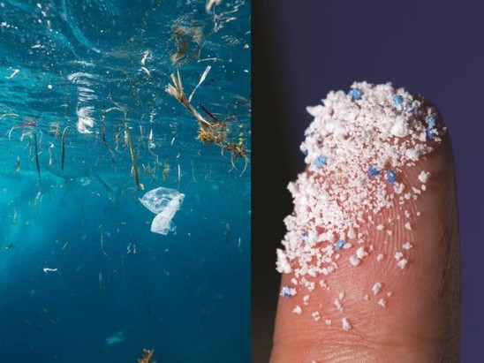 海洋水体和沉积物中塑料碎片的论文,论文中首次提出了微塑料的概念