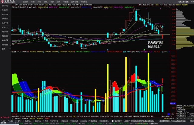 特宝生物688278长短期均线粘合顺上看多跟踪