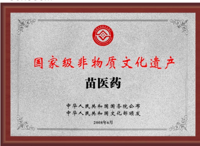 健康中国的守护者,苗医文化的践行者——施阳堂主理人肖福鑫