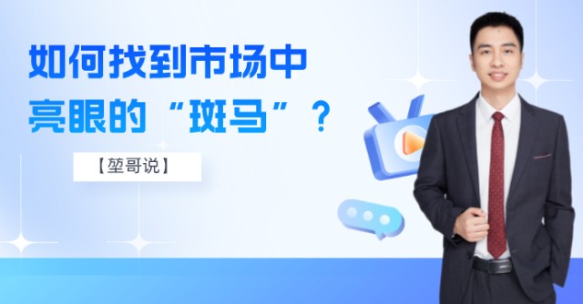 堃哥说如何找到市场中亮眼的斑马