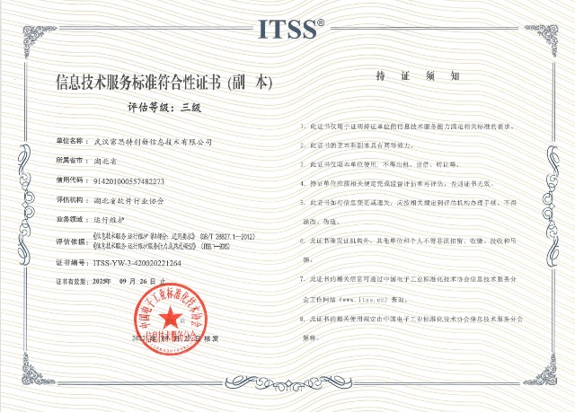 武汉IT技术支持